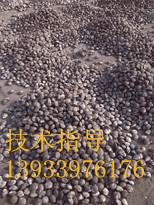 鐵精粉球團(tuán)粘合劑
