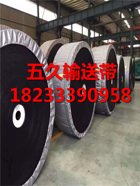普通輸送帶
